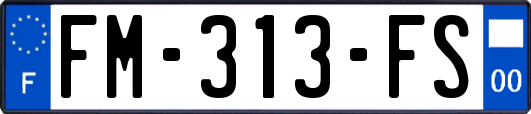 FM-313-FS