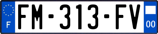 FM-313-FV