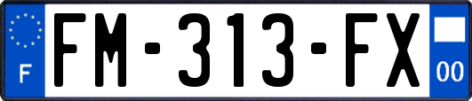 FM-313-FX