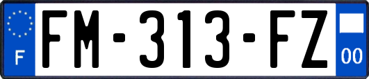 FM-313-FZ