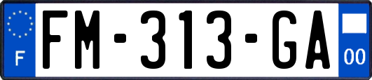 FM-313-GA