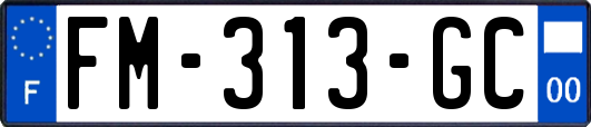 FM-313-GC