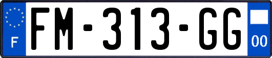 FM-313-GG