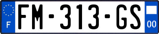 FM-313-GS