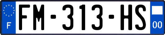 FM-313-HS