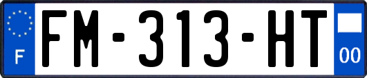 FM-313-HT