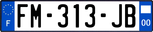 FM-313-JB
