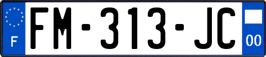 FM-313-JC