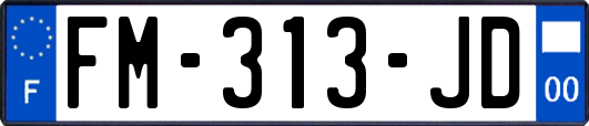 FM-313-JD