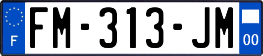 FM-313-JM