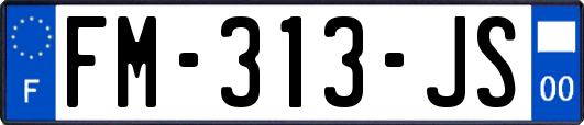 FM-313-JS