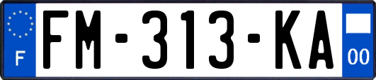 FM-313-KA
