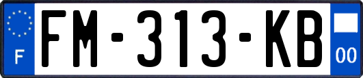 FM-313-KB