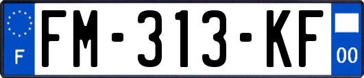 FM-313-KF