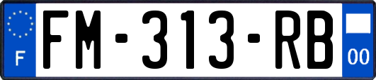 FM-313-RB