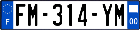 FM-314-YM
