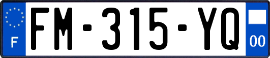 FM-315-YQ