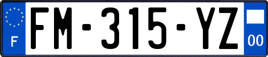 FM-315-YZ