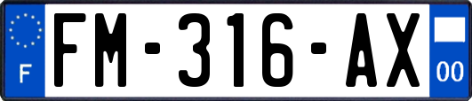 FM-316-AX