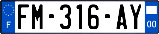 FM-316-AY