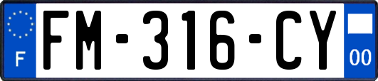 FM-316-CY