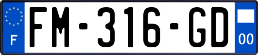 FM-316-GD