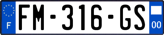 FM-316-GS