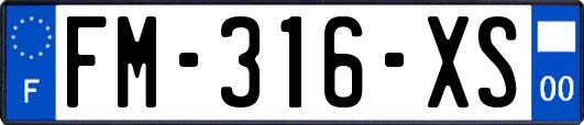 FM-316-XS