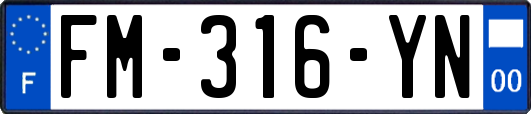 FM-316-YN