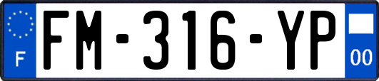 FM-316-YP