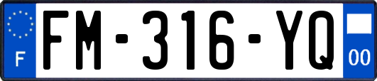 FM-316-YQ