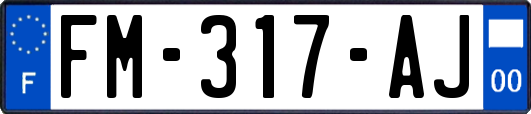 FM-317-AJ