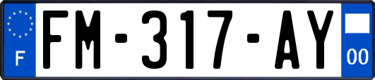 FM-317-AY