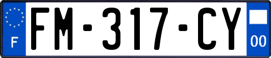 FM-317-CY