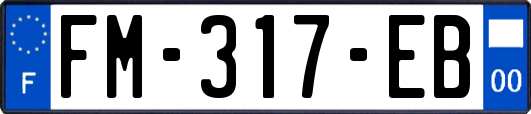 FM-317-EB