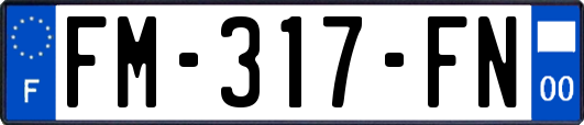 FM-317-FN