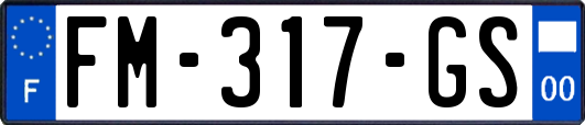FM-317-GS