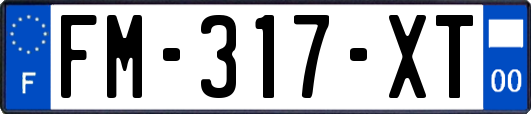 FM-317-XT