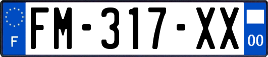 FM-317-XX