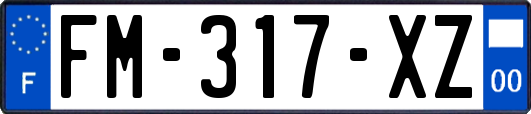 FM-317-XZ