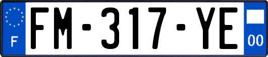 FM-317-YE