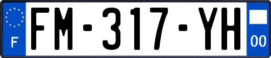 FM-317-YH