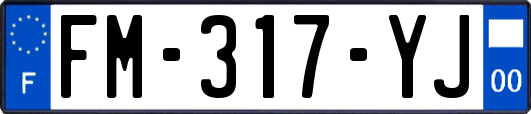 FM-317-YJ
