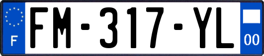 FM-317-YL