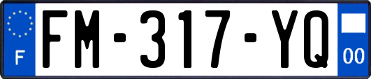 FM-317-YQ