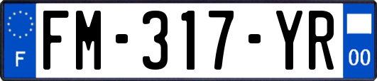FM-317-YR