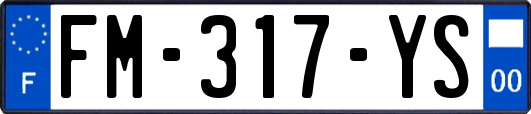 FM-317-YS