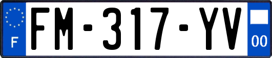 FM-317-YV