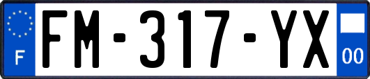 FM-317-YX