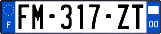 FM-317-ZT